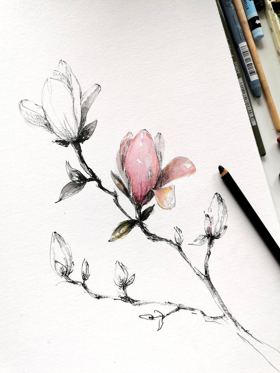 Post 6 by Agata | Artist | Floral watercolor art on Instagram (carousel)