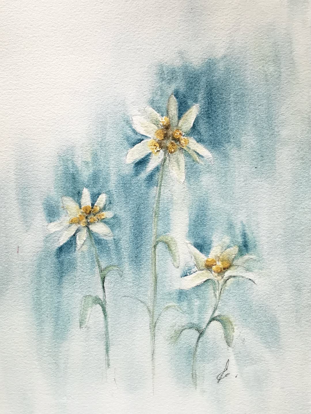 Post 3 by Agata | Artist | Floral watercolor art on Instagram (image)