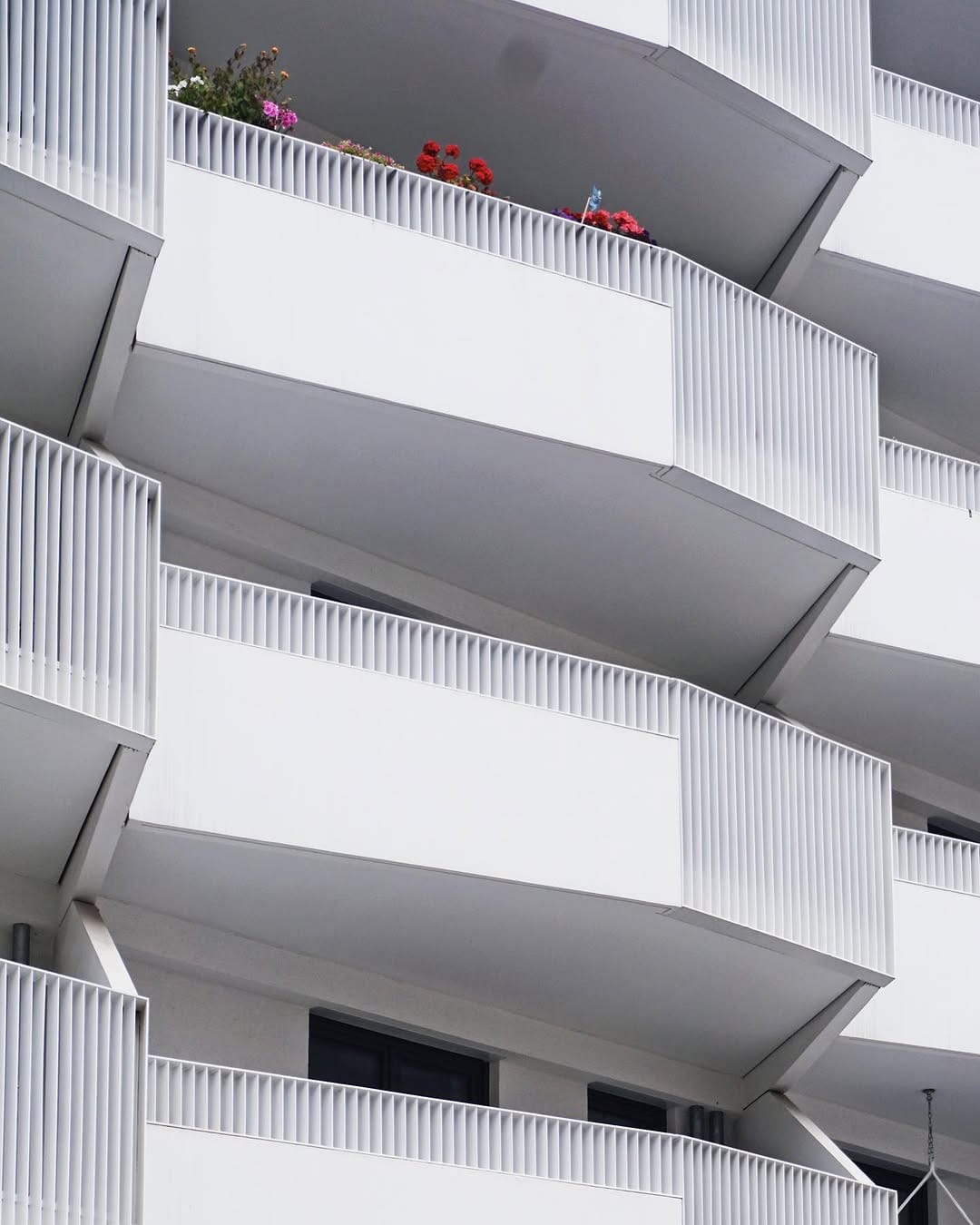 Post 3 by Marina Panceri Arch | Art on Instagram (image)