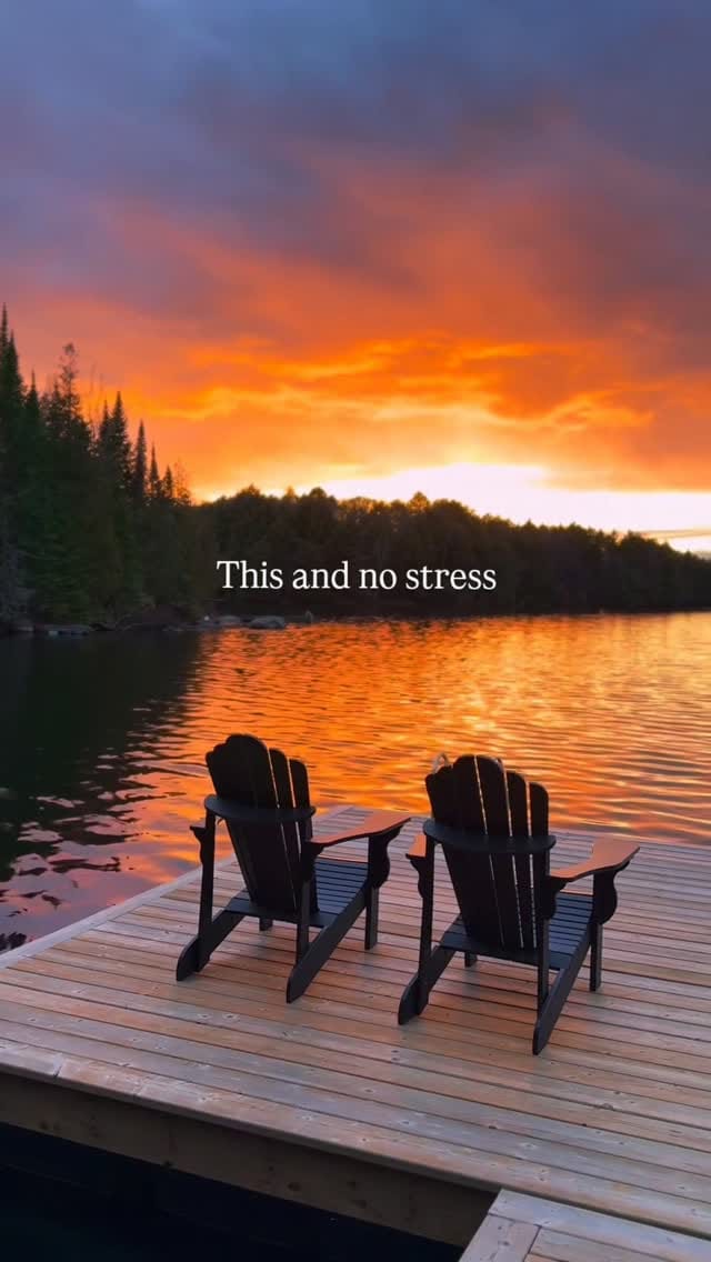 Post 6 by WILD KABIN CO. on Instagram (video)