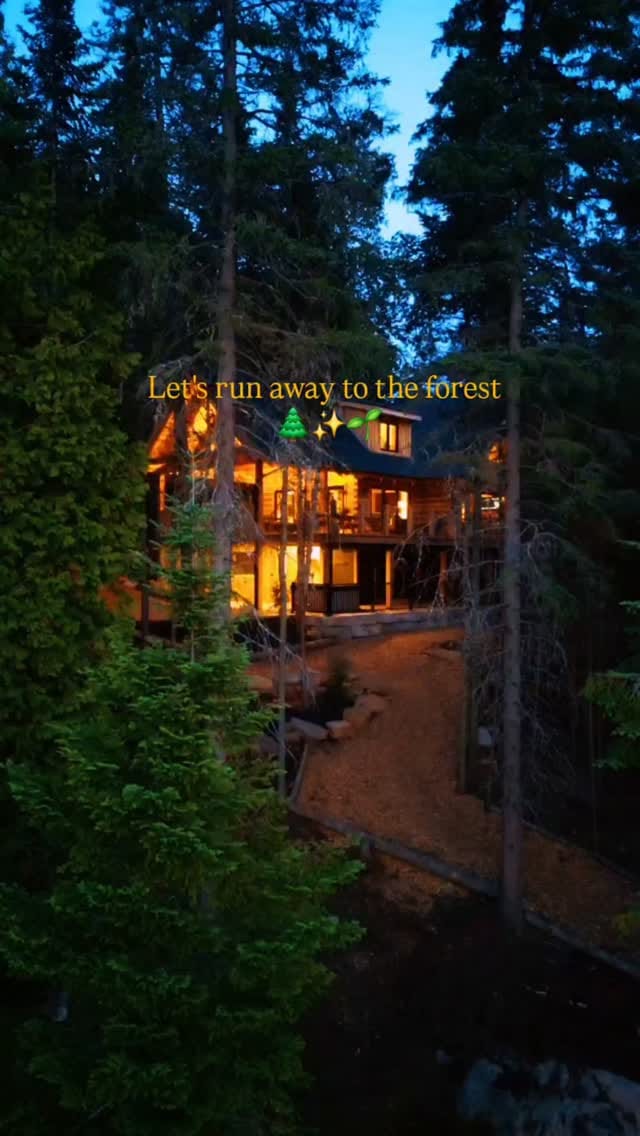 Post 7 by WILD KABIN CO. on Instagram (video)