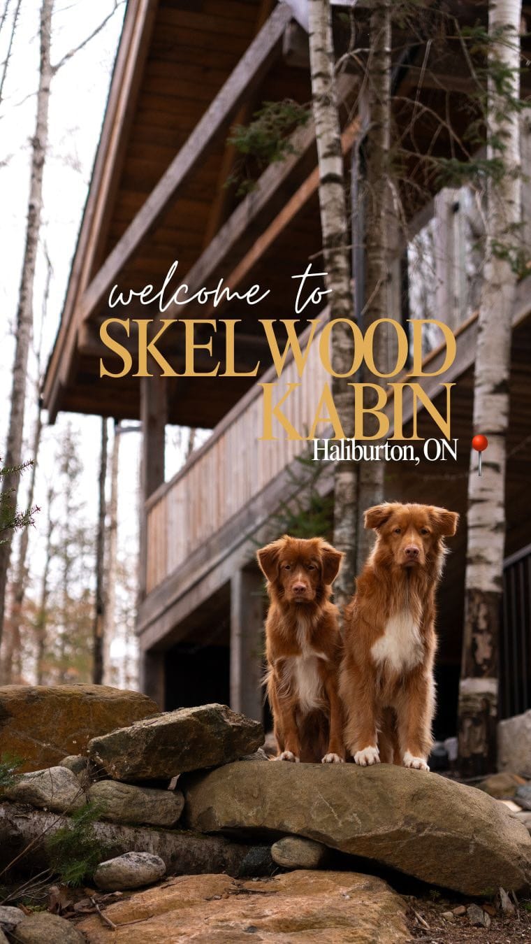 Post 5 by WILD KABIN CO. on Instagram (video)