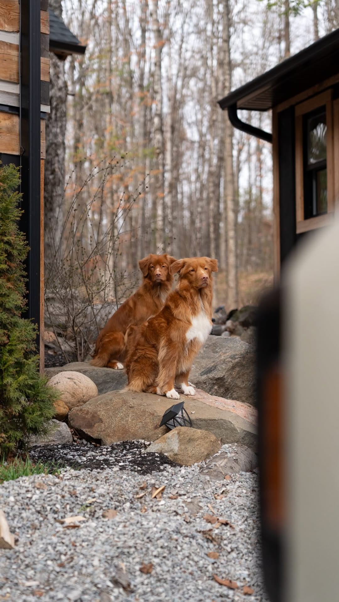 Post 1 by WILD KABIN CO. on Instagram (video)