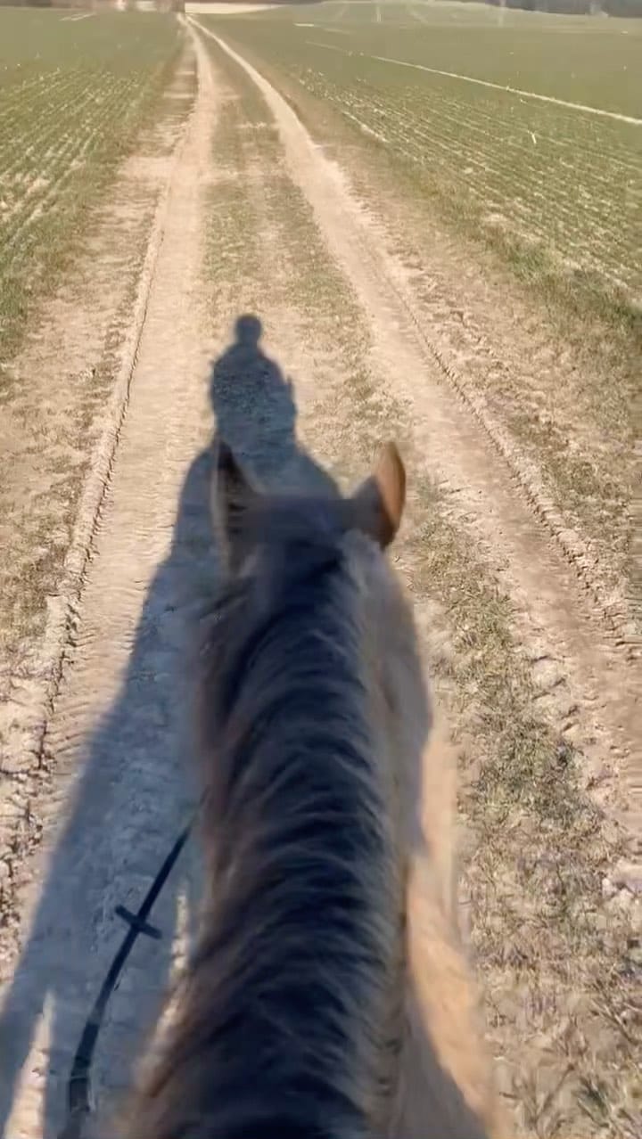 Post 5 by ♦️Johanna♦️ on Instagram (video)