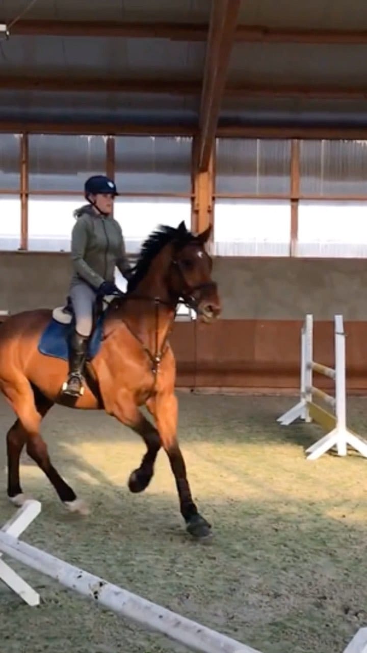 Post 2 by ♦️Johanna♦️ on Instagram (video)