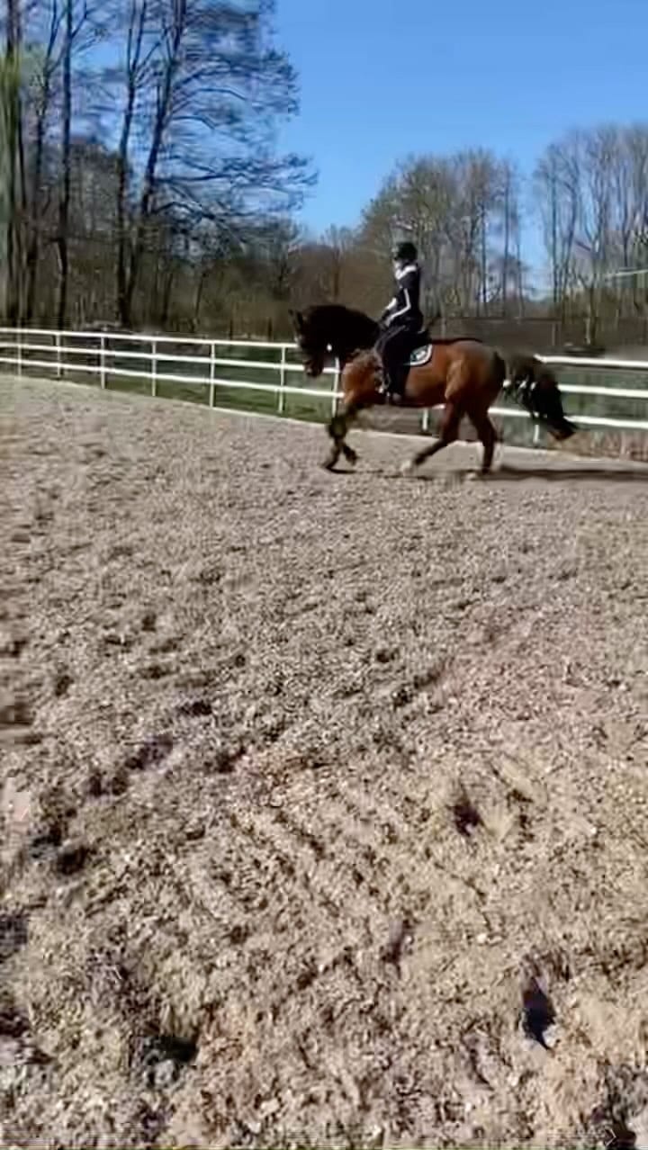 Post 3 by ♦️Johanna♦️ on Instagram (video)