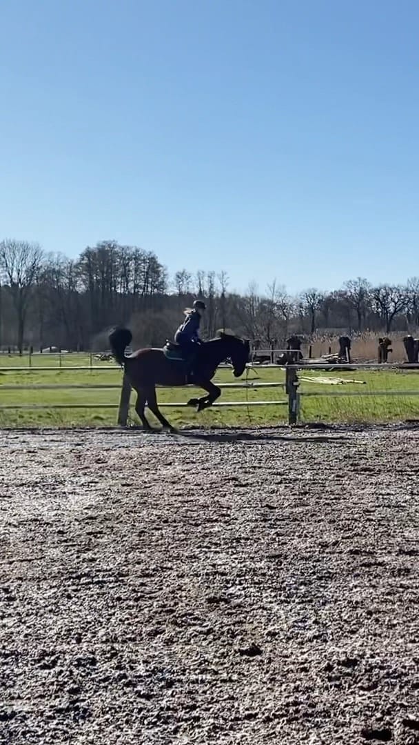Post 8 by ♦️Johanna♦️ on Instagram (video)