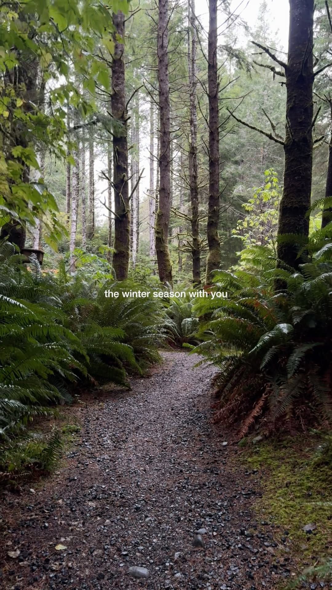 Post 5 by Fern Gully Cabins on Instagram (video)