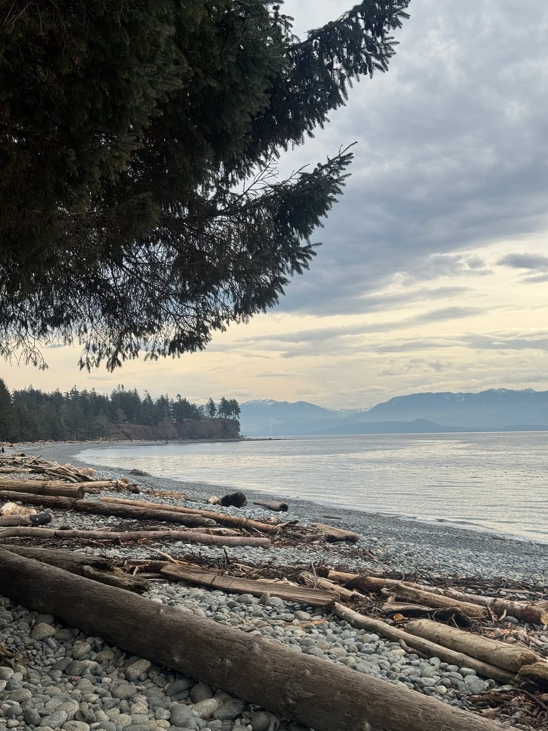 Post 2 by Fern Gully Cabins on Instagram (carousel)