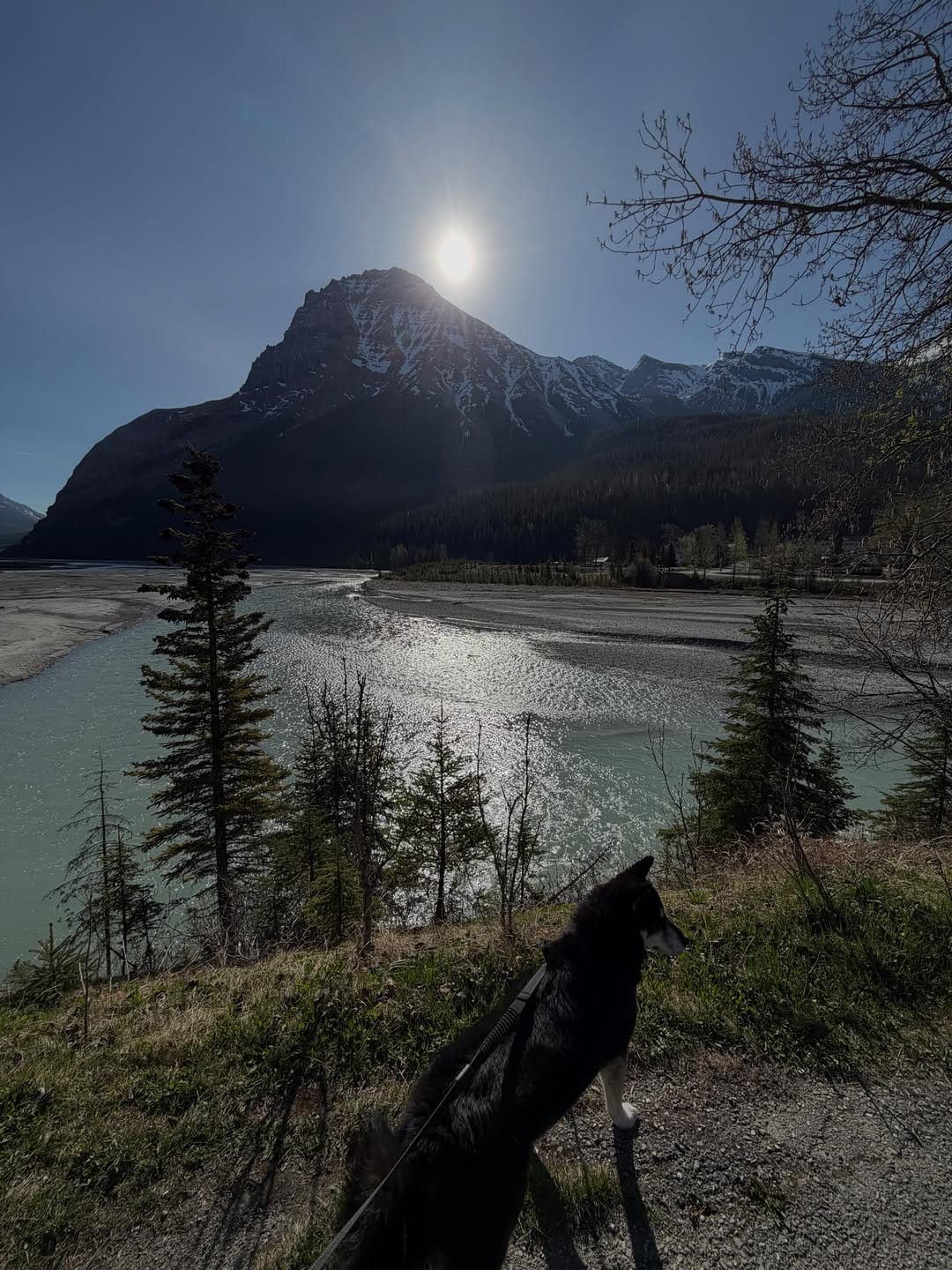 Post 5 by MAX MILLS | CALGARY & KELOWNA REALTOR on Instagram (carousel)