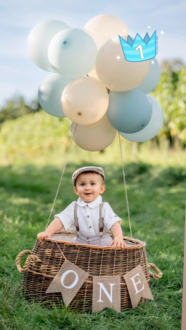 Post 3 by Elena Happel Fotograf, Neugeborenen, Familien,Schwangeeschaft on Instagram (video)