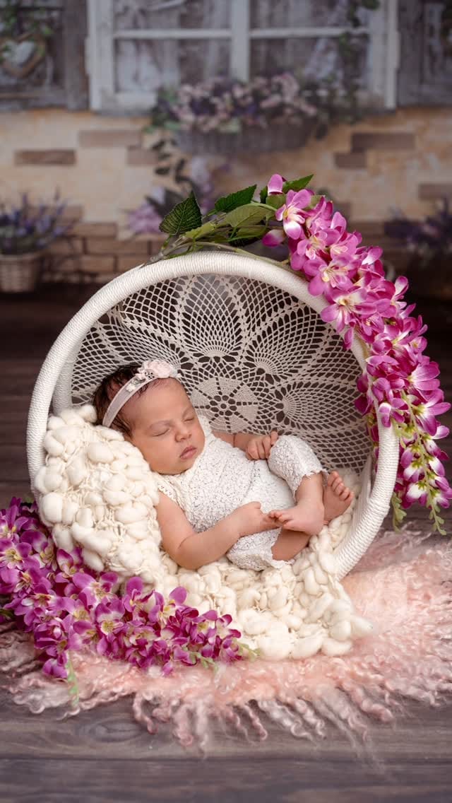 Post 9 by Elena Happel Fotograf, Neugeborenen, Familien,Schwangeeschaft on Instagram (video)