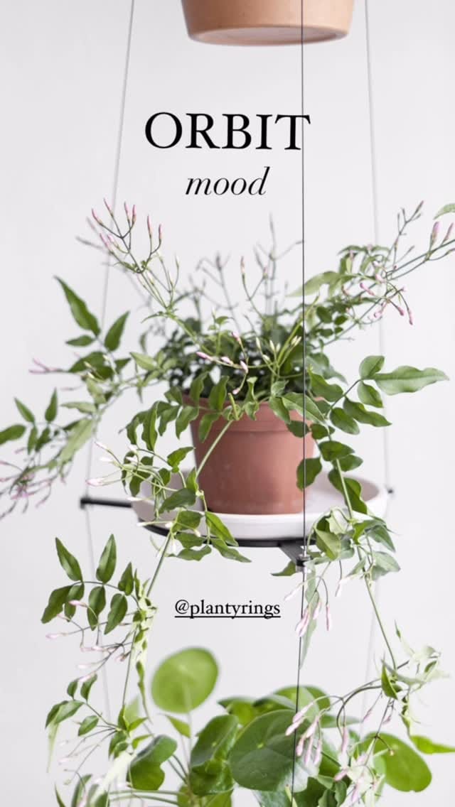 Post 2 by Result Objects on Instagram (video)