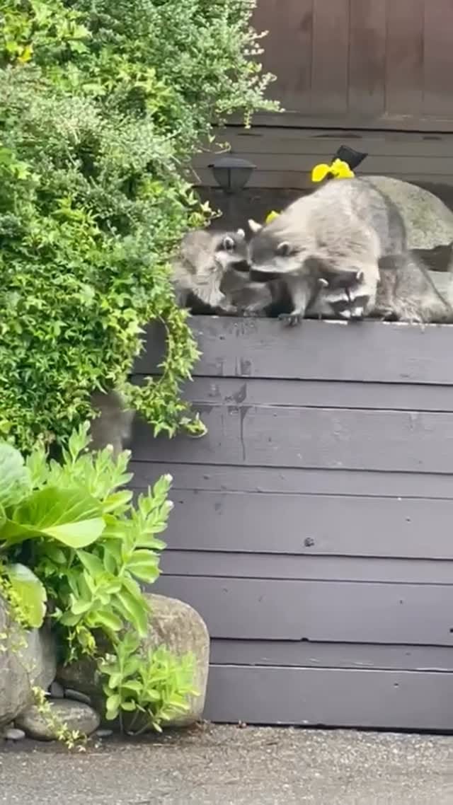 Post 5 by MaRjan Mah on Instagram (video)