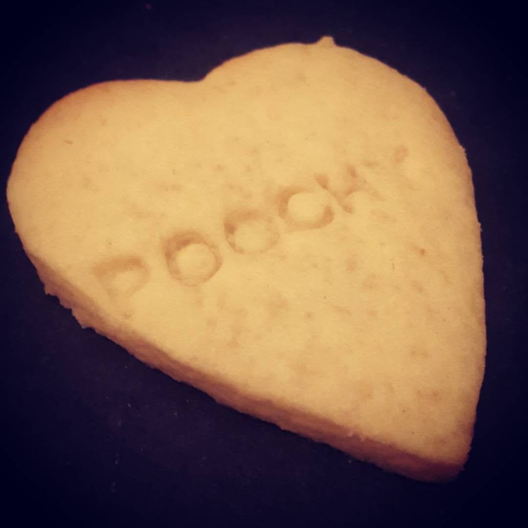 Post 3 by Poochy.eu on Instagram (image)