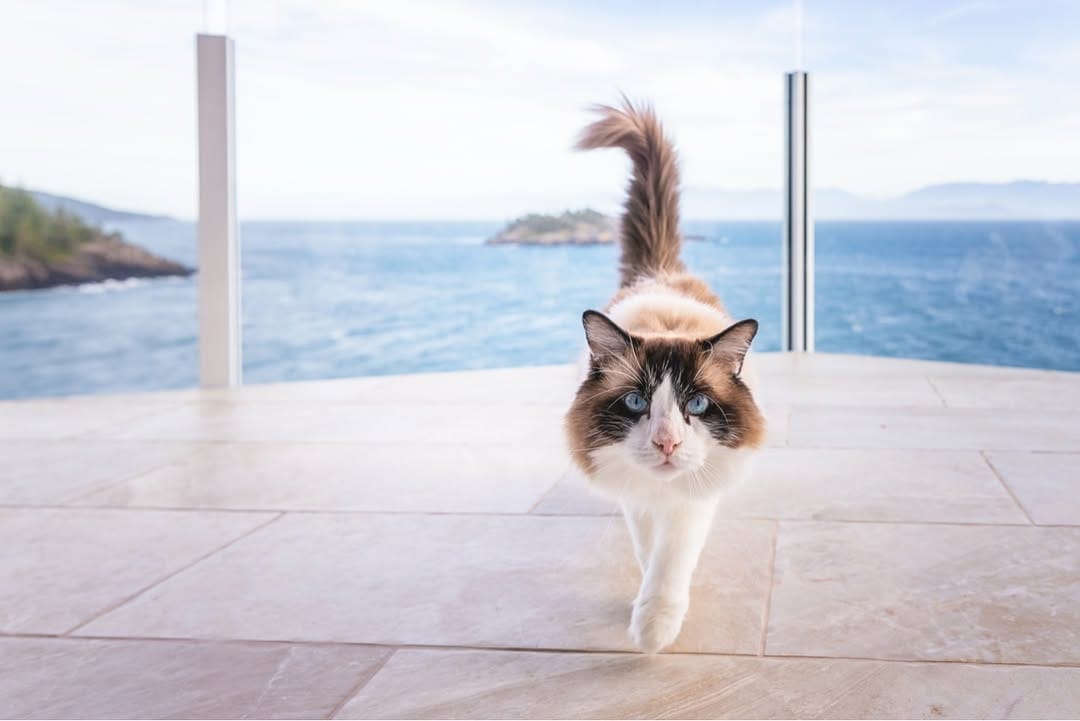 Post 7 by SookePoint Ocean Cottage Resort | Real Estate on Instagram (image)
