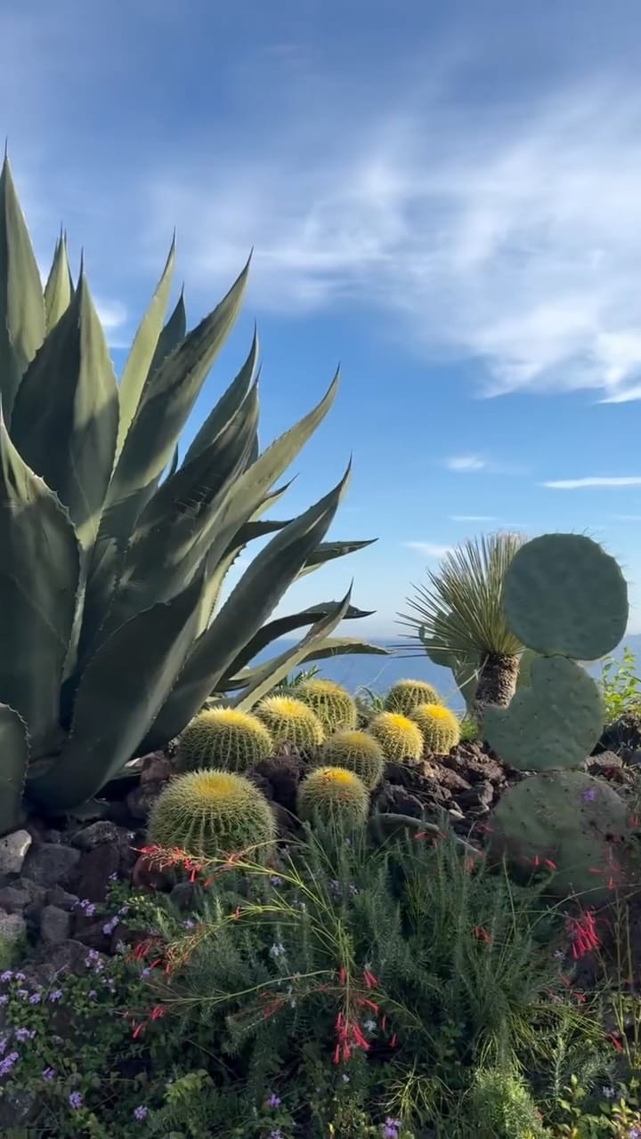 Post 5 by Anette Laurim | Interior Design on Instagram (video)