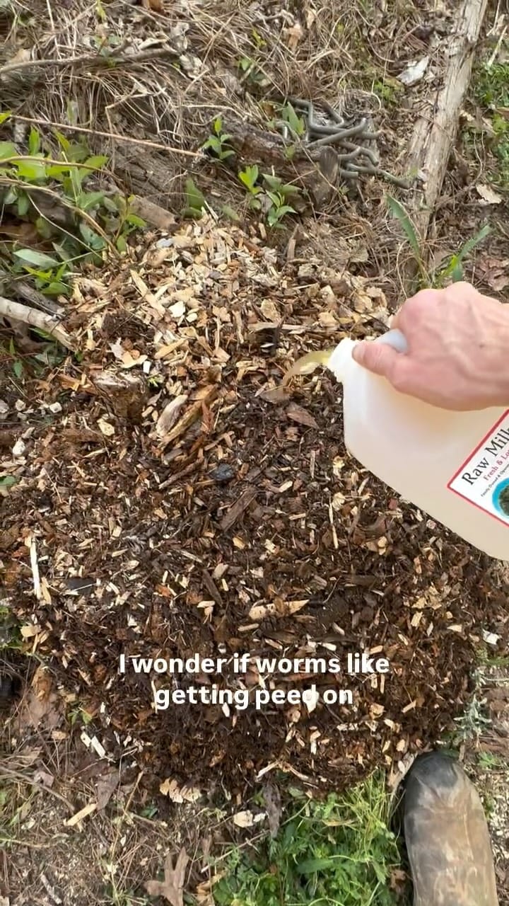 Post 5 by Set Apart Home and Garden Services on Instagram (video)