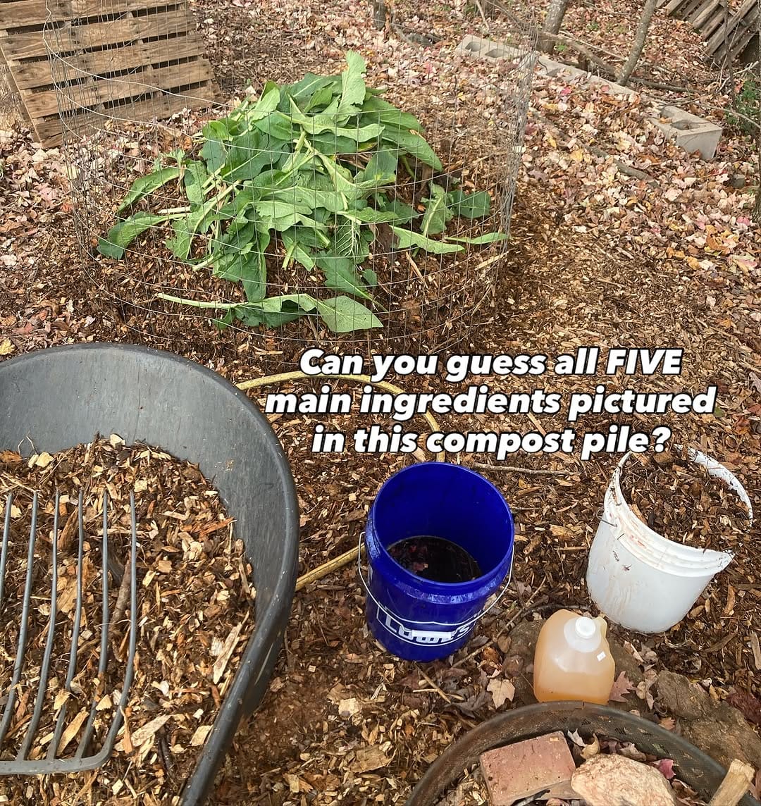 Post 8 by Set Apart Home and Garden Services on Instagram (image)
