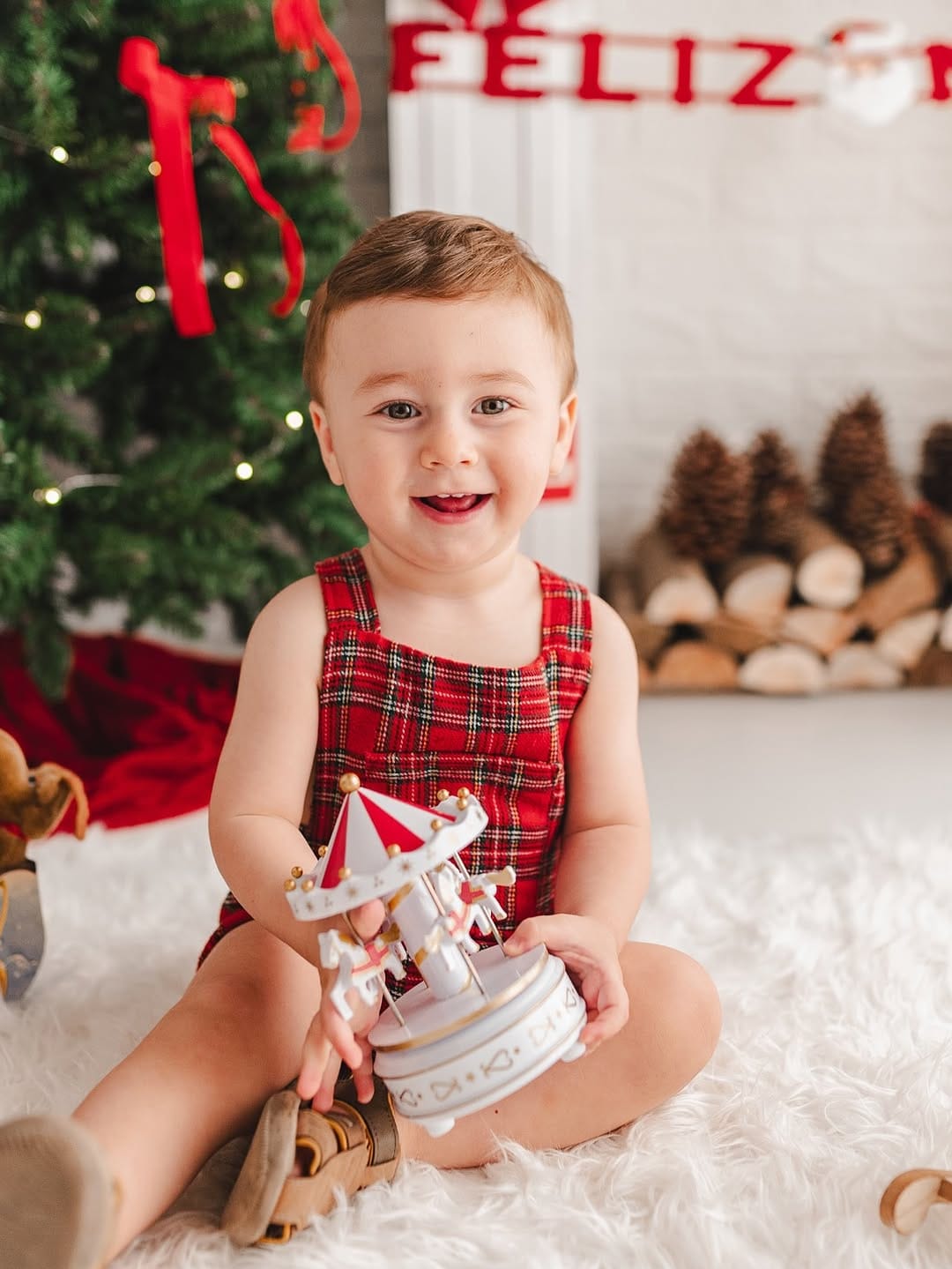 Post 10 by Julia Becker | Fotografia Newborn e Família on Instagram (carousel)