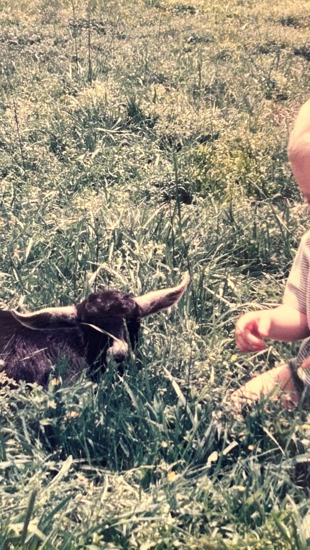 Post 4 by Christy Dillard Kratzer on Instagram (video)