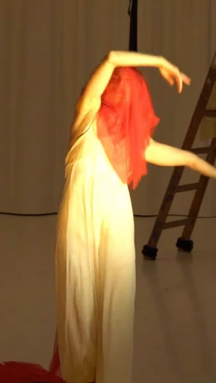 Post 8 by Yara Zrein on Instagram (video)
