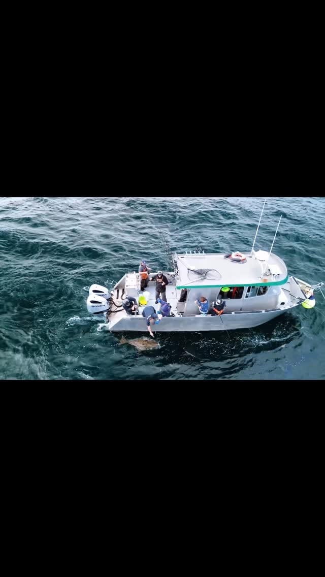 Post 6 by CAST ALASKA CHARTERS & LODGE on Instagram (video)