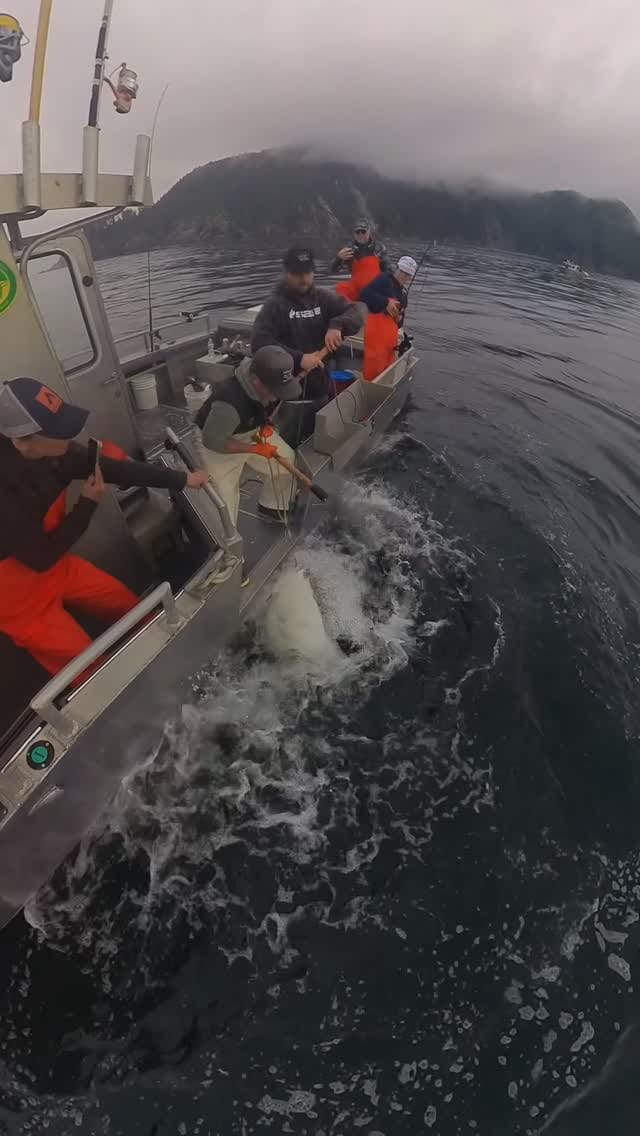 Post 8 by CAST ALASKA CHARTERS & LODGE on Instagram (video)