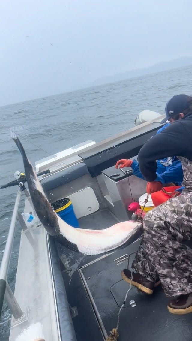 Post 3 by CAST ALASKA CHARTERS & LODGE on Instagram (video)