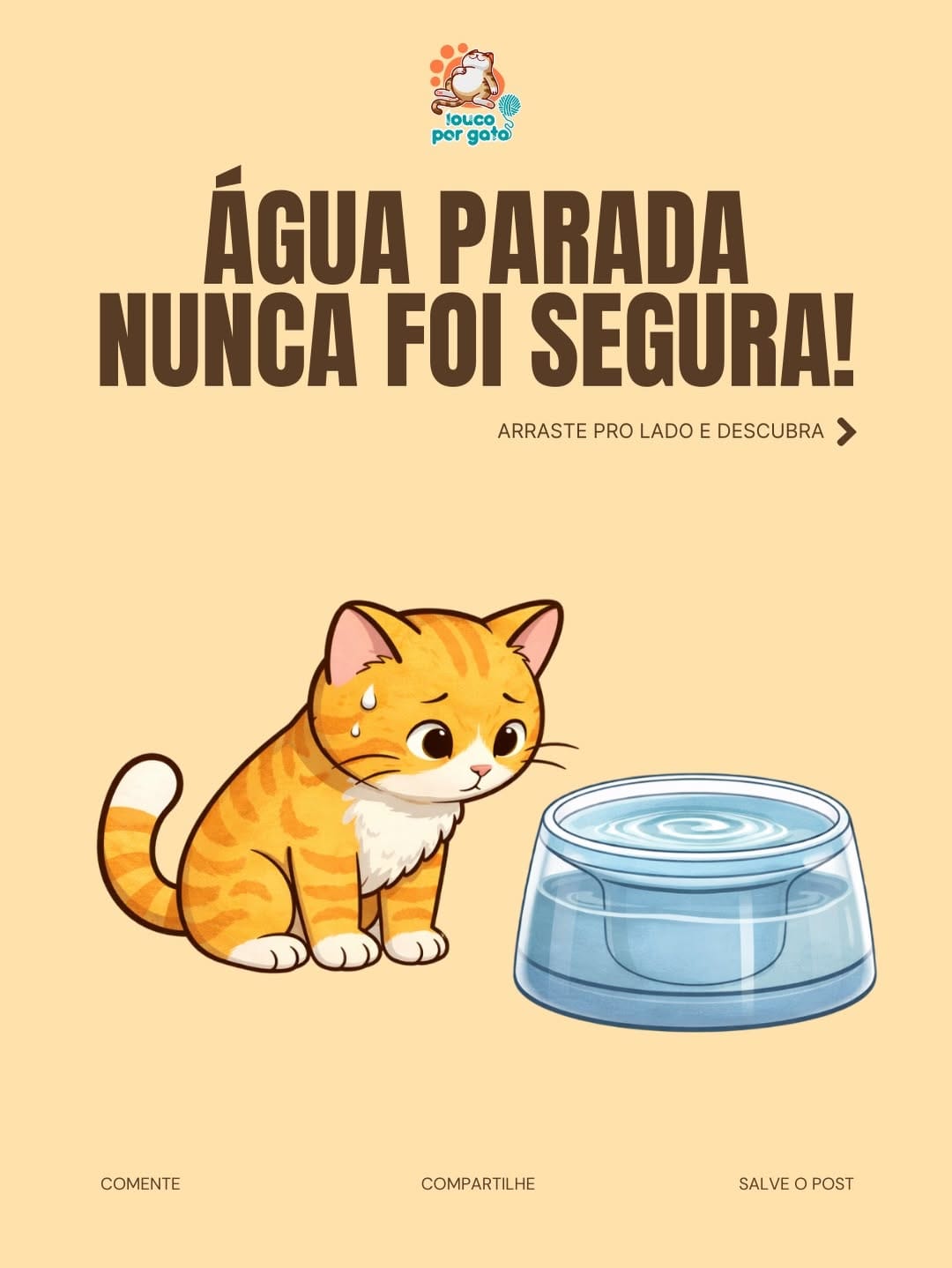Post 10 by loucoporgato on Instagram (carousel)