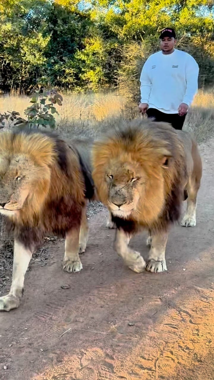Post 8 by Krisjan Schlechter on Instagram (video)