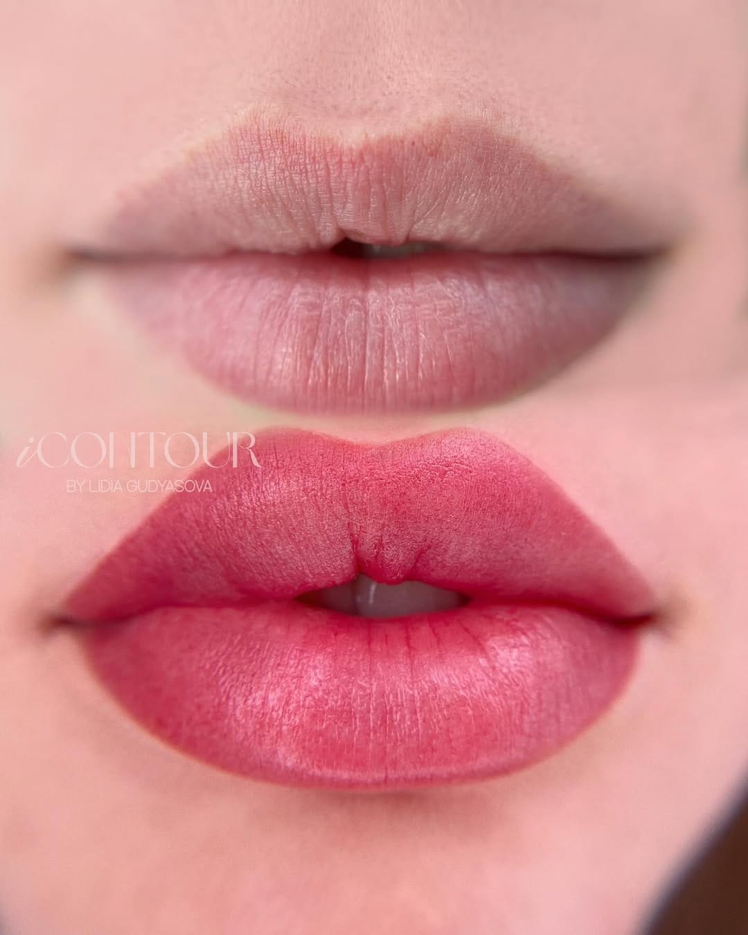 Post 10 by LIDIA GUDYASOVA PMU COSMETIC TATTOO TRAINING iCONTOUR PHILLY on Instagram (image)
