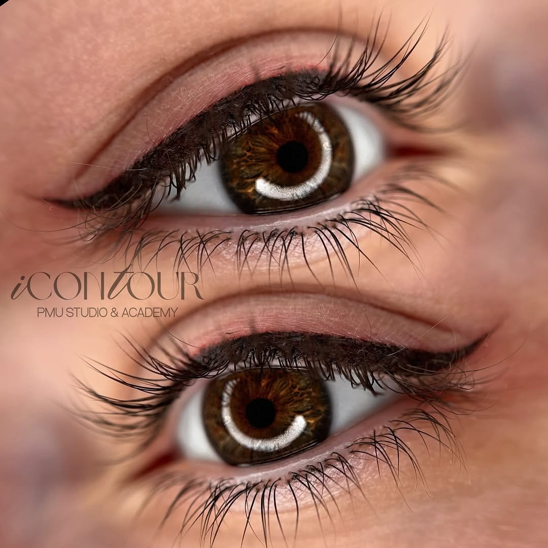 Post 9 by LIDIA GUDYASOVA PMU COSMETIC TATTOO TRAINING iCONTOUR PHILLY on Instagram (carousel)