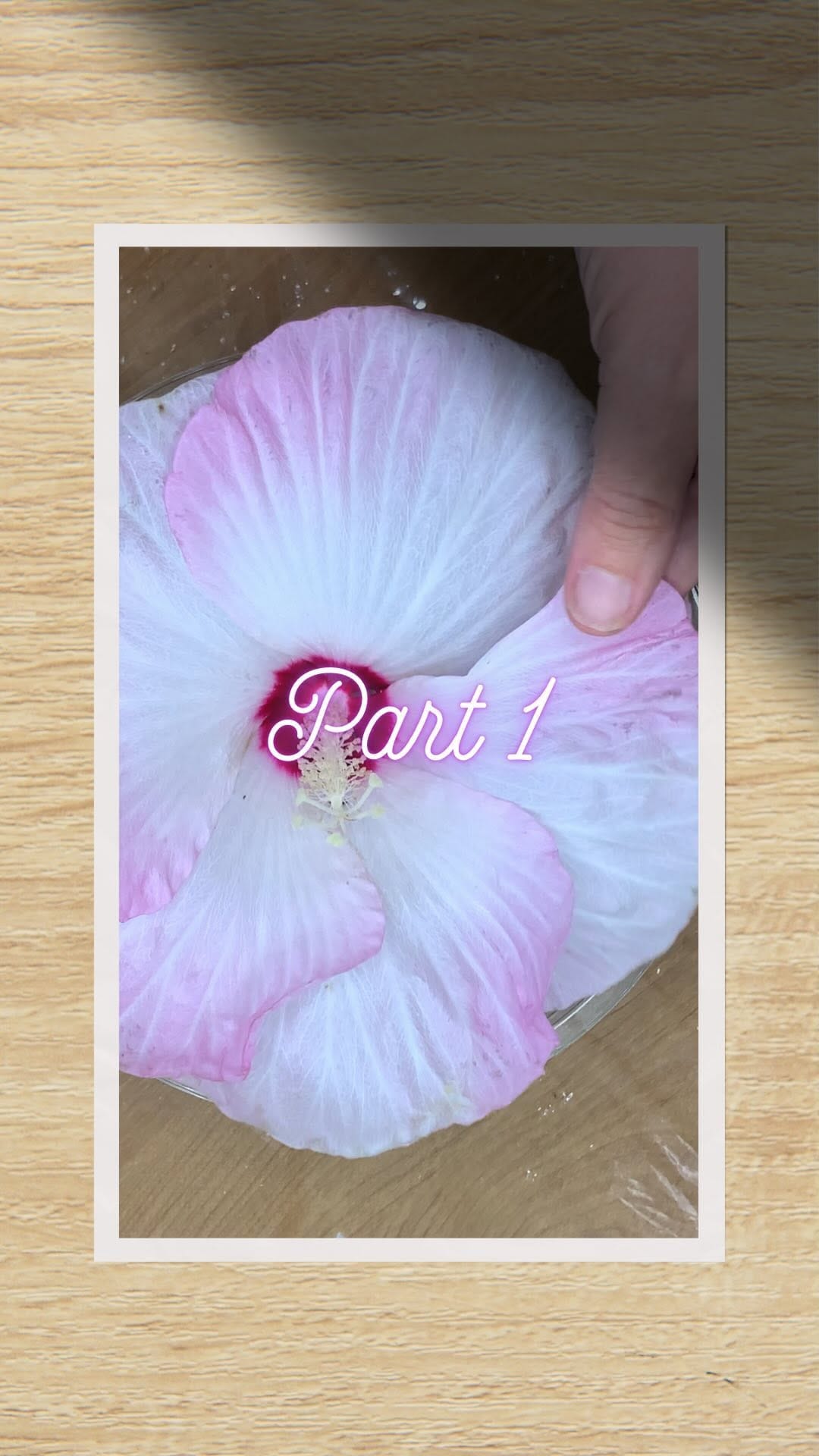 Post 8 by Kori Stevens on Instagram (video)