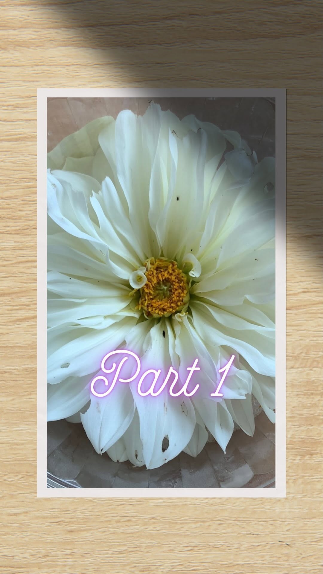 Post 6 by Kori Stevens on Instagram (video)
