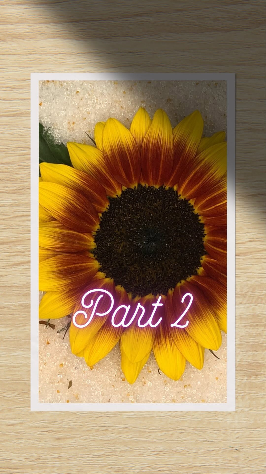 Post 7 by Kori Stevens on Instagram (video)