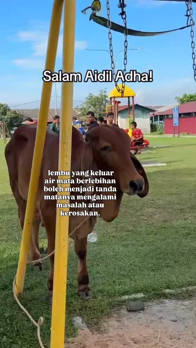 Post 3 by AHMED IBRAHIM AHMAD on Instagram (video)