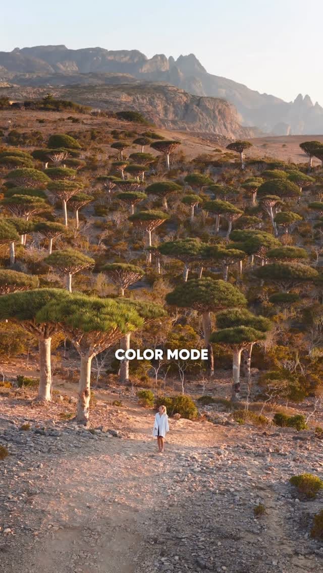 Post 5 by Matthias Dangl on Instagram (video)
