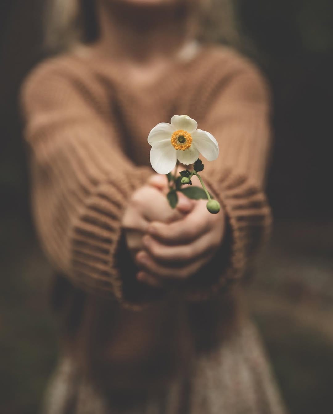 Post 10 by Oksana Dunnagan on Instagram (carousel)