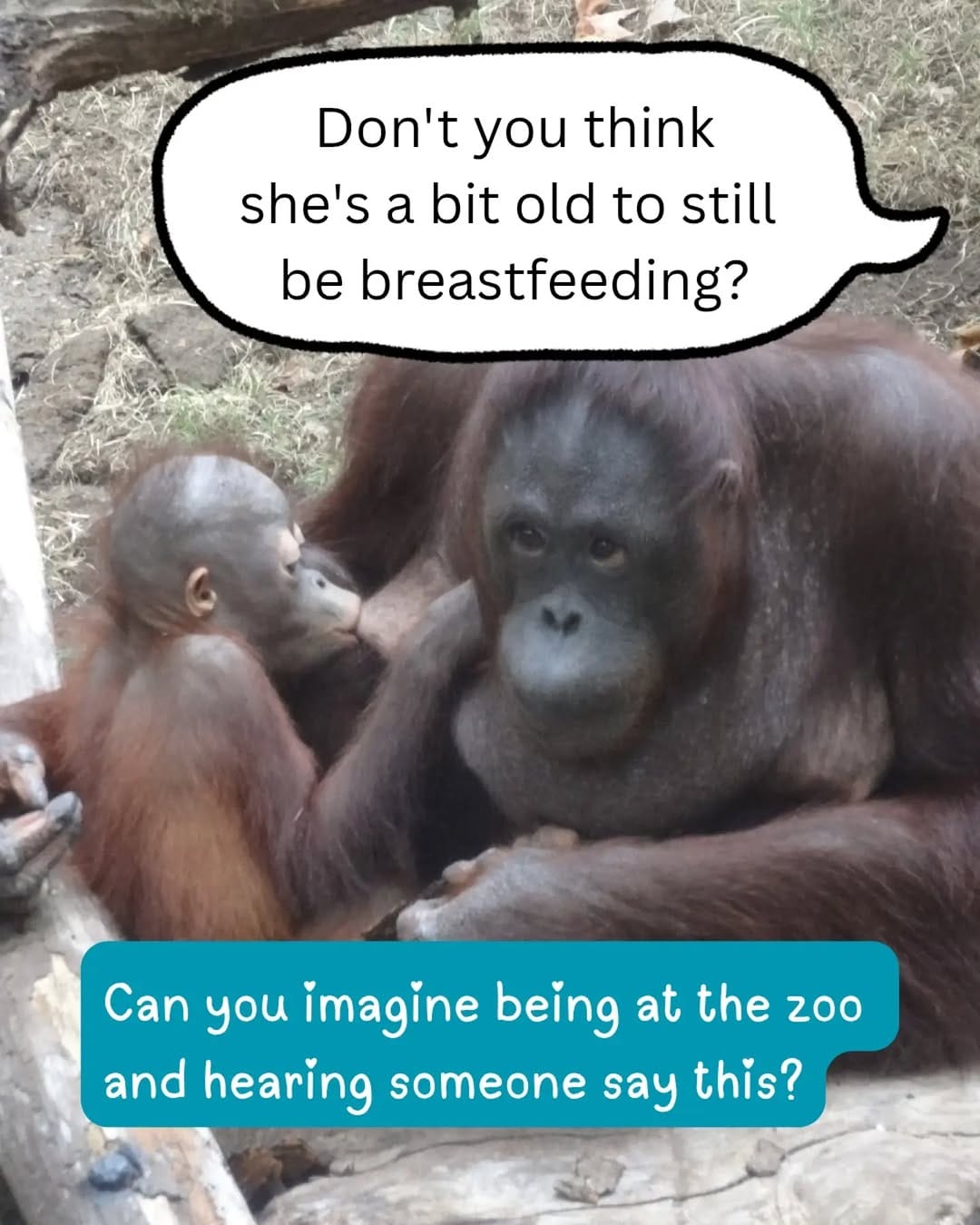 Post 7 by T & Belle Parenting & Breastfeeding on Instagram (carousel)