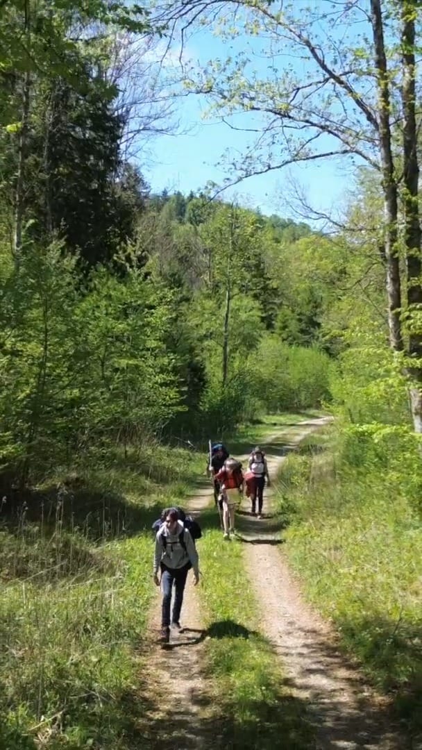 Post 2 by St George's School Munich on Instagram (video)
