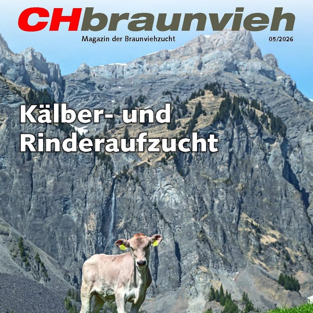 Post 4 by Braunvieh Schweiz on Instagram (image)