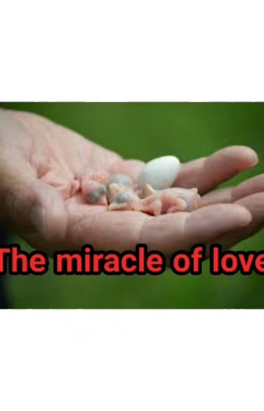 Post 2 by تکنولوژیست آموزشی|𝒔𝒂𝒂𝒕𝒄𝒉i.k on Instagram (video)