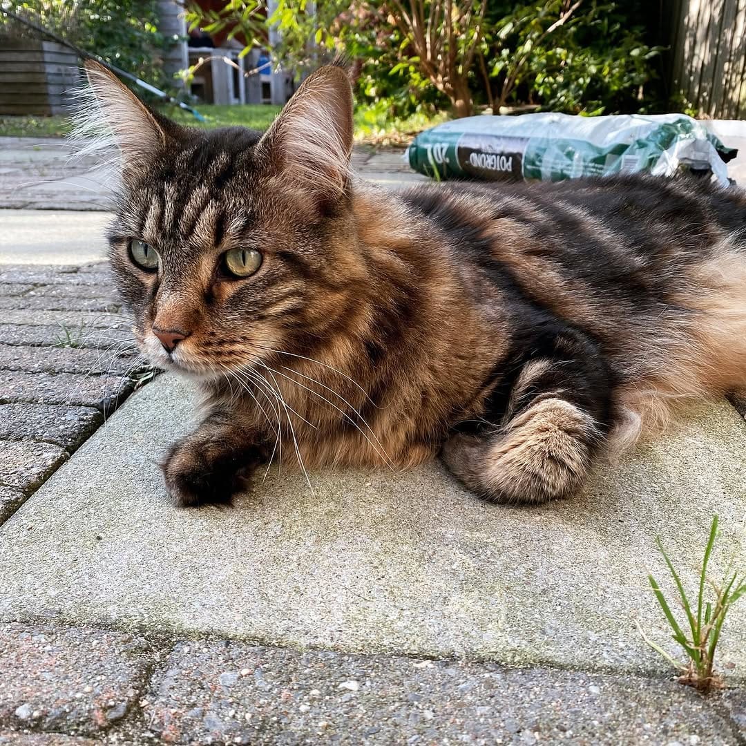 Post 8 by Gijs on Instagram (image)