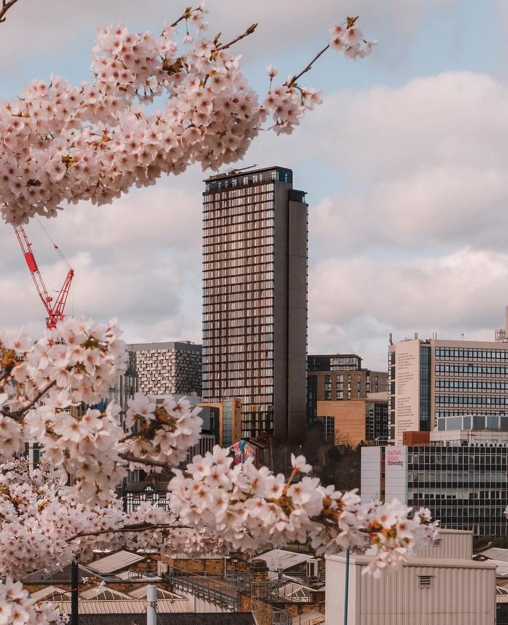 Post 2 by This is Sheffield on Instagram (image)