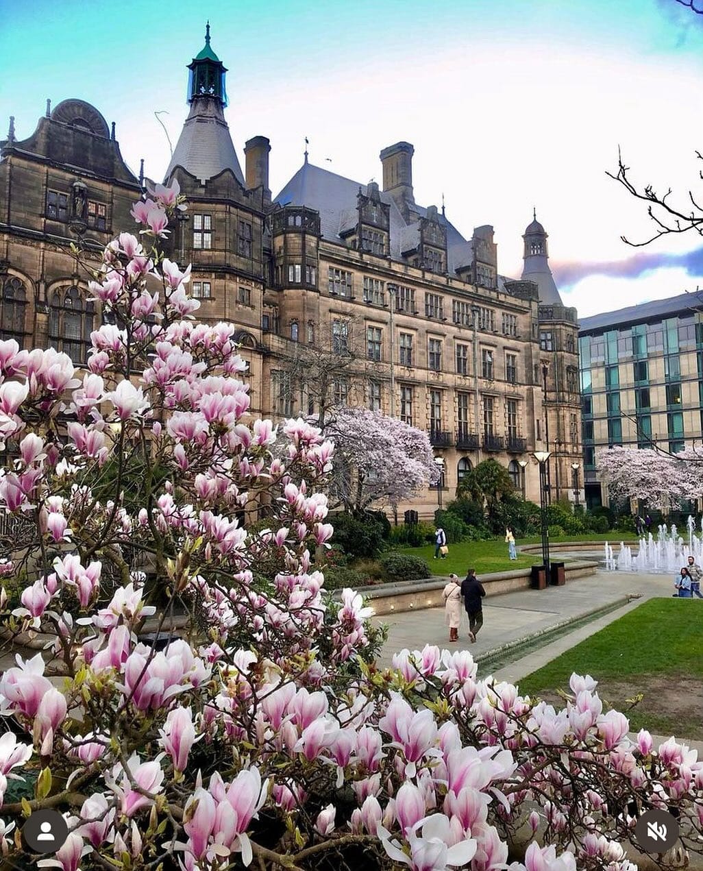 Post 7 by This is Sheffield on Instagram (image)