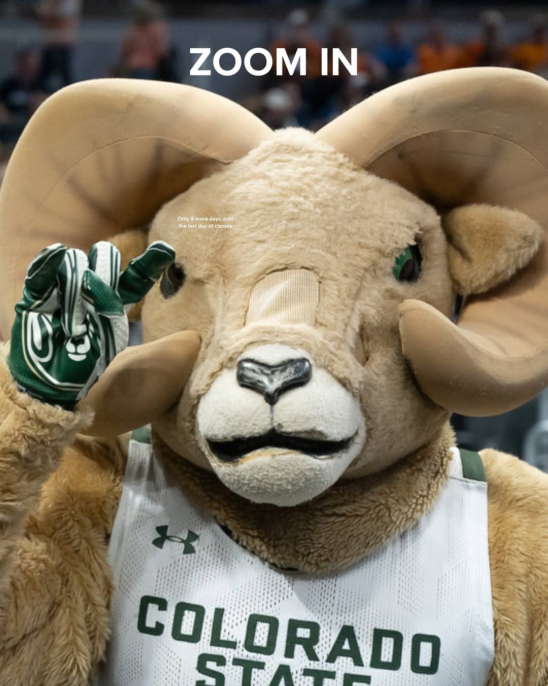 Post 5 by CAM the Ram on Instagram (image)