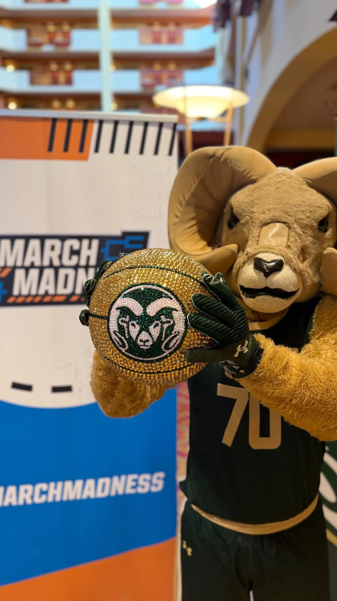 Post 9 by CAM the Ram on Instagram (video)