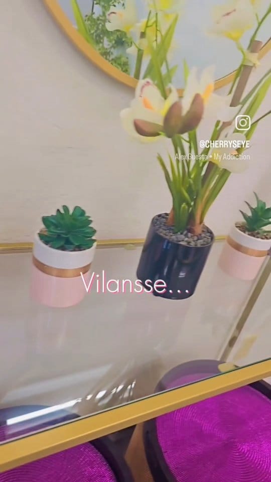 Post 6 by Vilansse by 𝐂𝐡𝐞𝐫𝐫𝐲𝐬 𝐄𝐲𝐞 on Instagram (video)