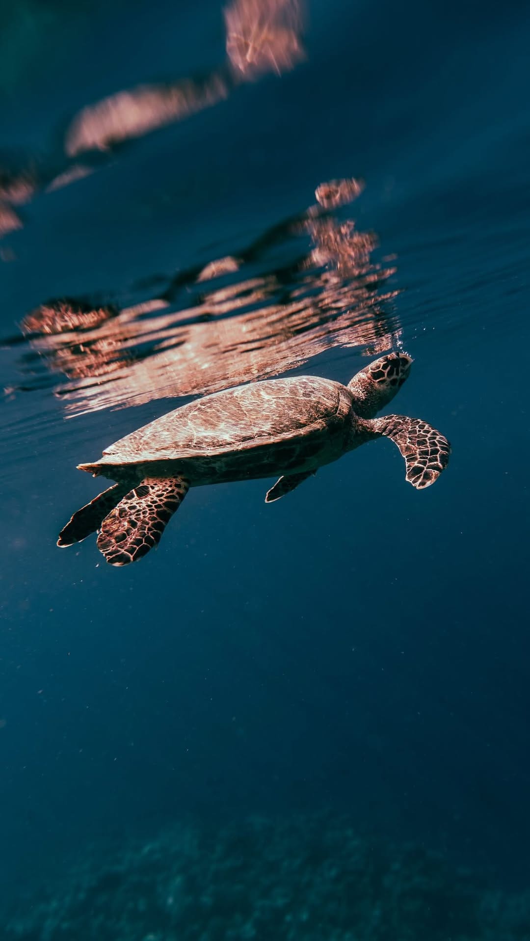 Post 4 by Steffi | Travel Creator & Photographer on Instagram (video)